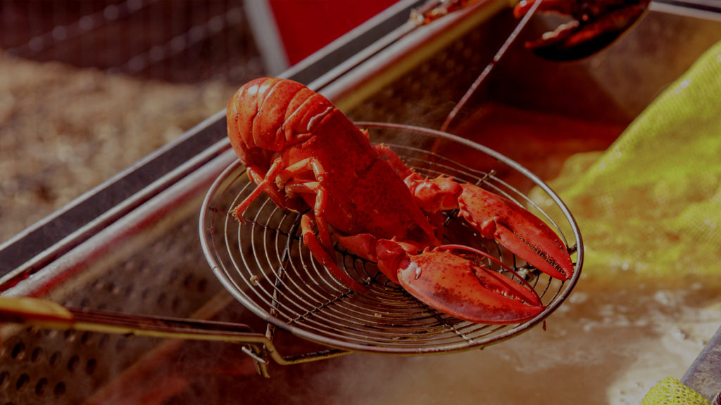 Lobster Boil