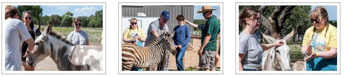 Safari Wine Tour
