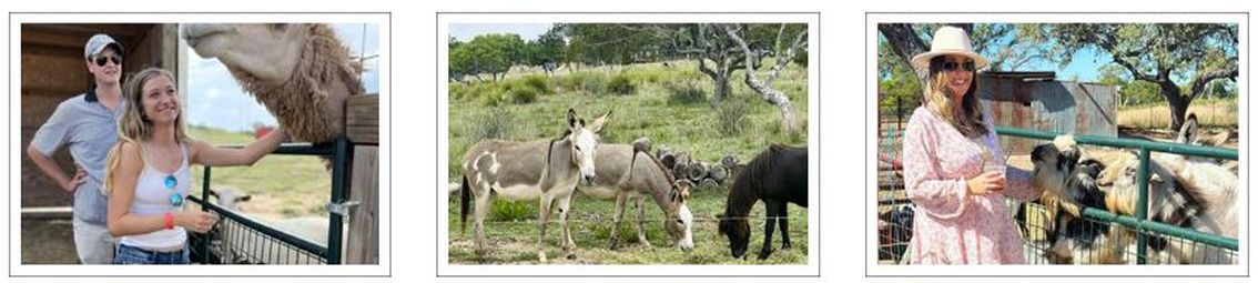 Safari Wine Tour