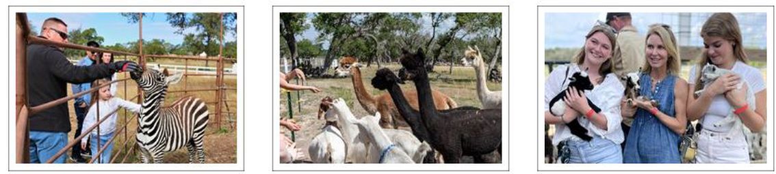 Safari Wine Tour