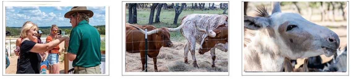 Safari Wine Tour